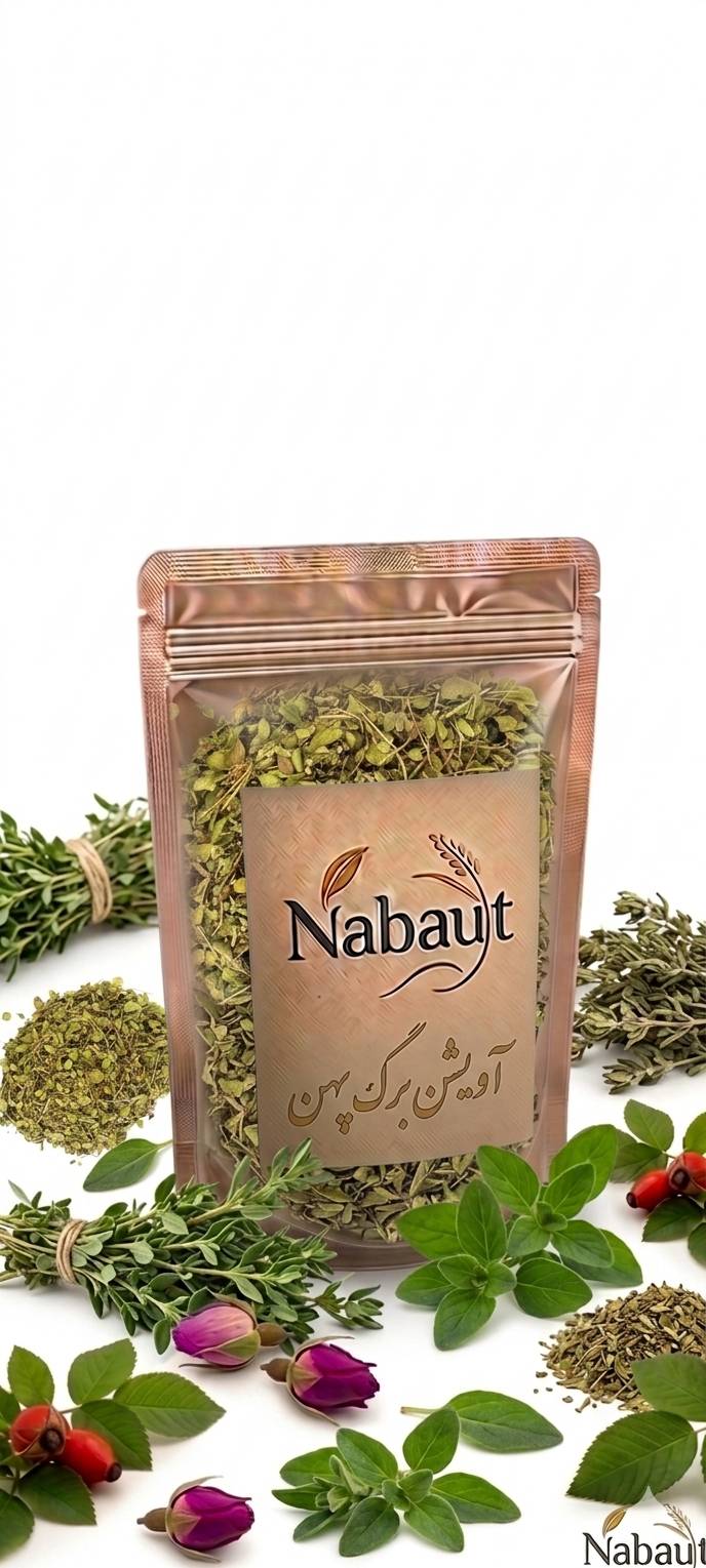 اویشن برگ پهن شیرازی 
